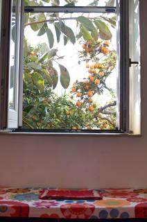 Il Giardino del Sole - 3