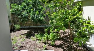 Casa al Prino con Giardino e box - Imperia - 3