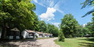 Profile Motel & Cottages - Lincoln - 7
