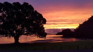 Oamaru Bay Tourist Park - Coromandel - 5
