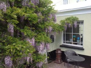 The Spinney - 6