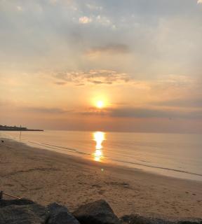 Garden Oasis - Margate - 8