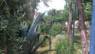 RIVAMARE - Rovinj - Rovinj - 4