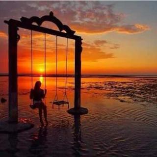 Cape Rose - Gili Trawangan - 0