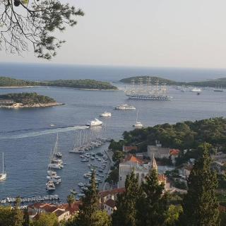 Guest House Alisa - Hvar - 9