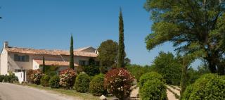 Domaine Le Bois Des Dames - Chantemerle-lès-Grignan - 6