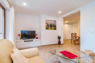 Milohanic Luxury Apartments - 4