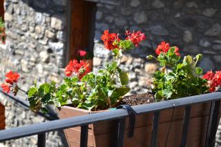 Casa Rural Borda Marianet - 1