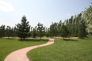 Delfina Palace Hotel - Foligno - 4