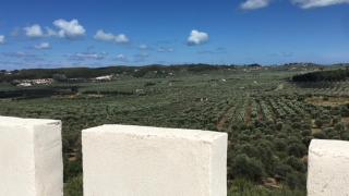 Tenuta Valle Della Corte - Vieste - 1