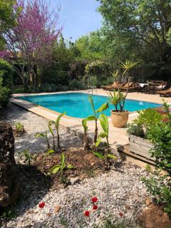 Fig Garden Cottages - 6