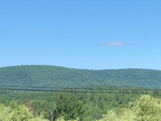 Antique Rose Inn Windham - Windham - 7