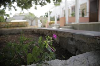Antico Casale sul Mare - Custonaci - 3
