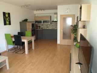 Apartman Self check in/out Vrchlabi - 3
