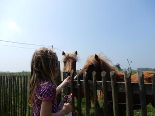 Holiday Home Cuylehoeve - 3