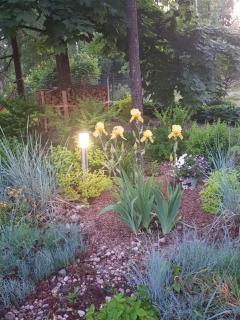 Holiday Home Ermine - Sigulda - 2