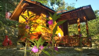 Namo Samsah Jungle Paradise - Riverside Nature Bungalow - Bukit Lawang - 8