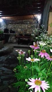 The House in Shipka - Schipka - 4
