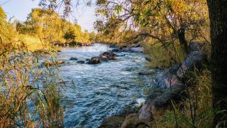 Otters' Haunt Eco Retreat - Parys - 5