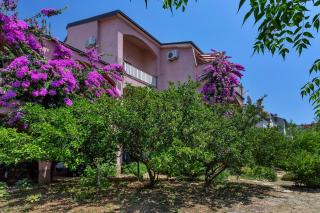 Apartments Roza - 9