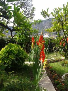 Kotor Kelly Apartments - Kotor - 7