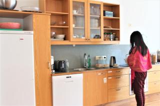 Solheimar Eco-Village Guesthouse - 5