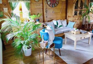 Villa Botanica - Mirkovec - 5