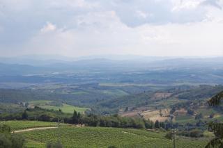 Mariani Bed&Breakfast - Castellina in Chianti - 4