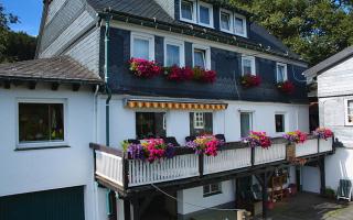 Pension Bergfrieden - Schmallenberg - 5