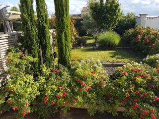 Villa Felin Feline - LʼIsle-sur-la-Sorgue - 1
