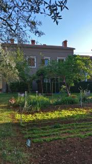 Apartman Lovor - 1