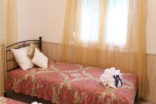 Polianthi Seaside House - Marathos - 1