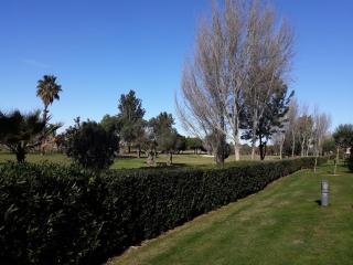 Rincon Canela - Ayamonte - 1