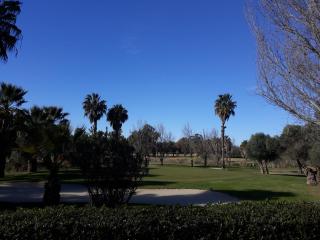 Rincon Canela - Ayamonte - 4
