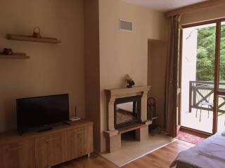 Northstar Ski Apartment in Mountain Lake Hotel - 7