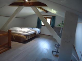 cottage pleine nature - Wattwiller - 1