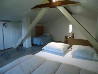 cottage pleine nature - Wattwiller - 5