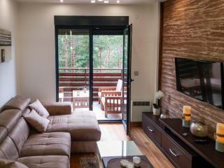 Apartment Mihajlović - Zlatibor - 9