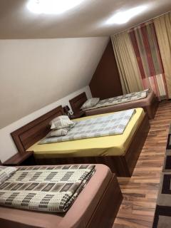 Cabana Suvenirurilor - Scărişoara - 1