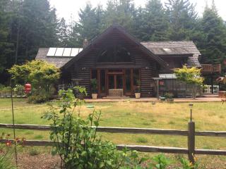 Redwood forest - 8