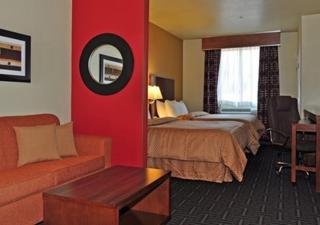 Comfort Suites Natchitoches - Natchitoches - 8