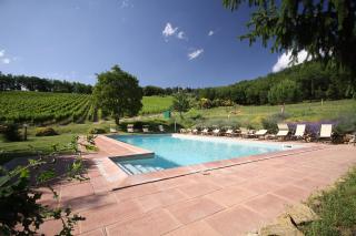 Podere Vignola - Pontassieve - 3
