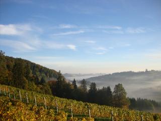 Ferienhaus Weingut Bauer - Gamlitz - 3