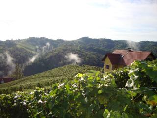Ferienhaus Weingut Bauer - Gamlitz - 5