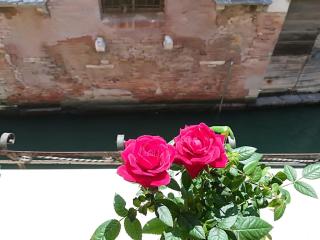 santacroce - Venice - 5