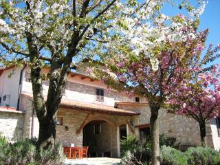 Podere Vignola - Pontassieve - 8