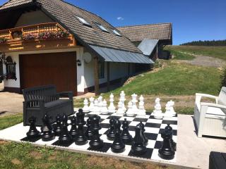 Pension Altvogtshof - Eisenbach - 7