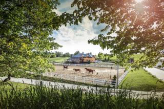 Hotel Horse Riding - Jezdecký Areál Tršice - Tršice - 2