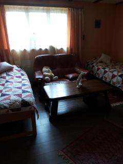 Gastzimmer für Übernachtung Гостевая комната - Oberbipp - 0