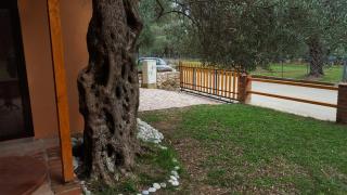 Olive Paradise - Ulcinj - 9